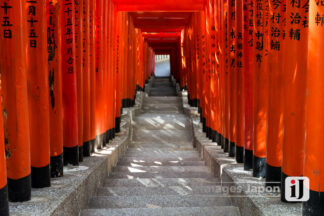 Sanctuaire de Hie Jinja