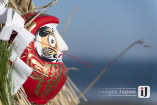 Photo Daruma