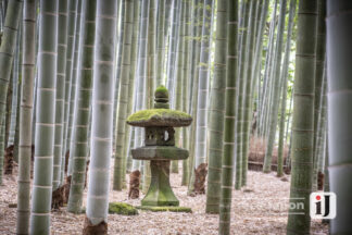 Photo hokokuji