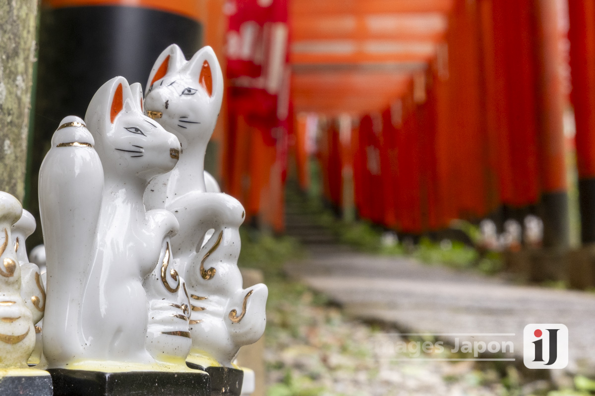 Photo satsuke inari